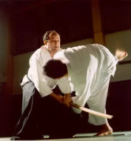 Tecaj ki aikido slovenija