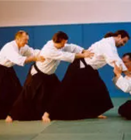 Tecaj ki aikido slovenija