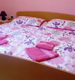 Najem apartmaja Trenta