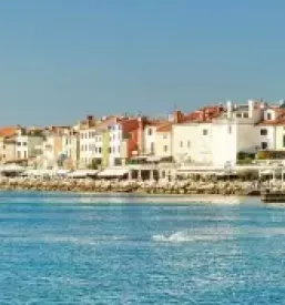 Cheap studio apartment for rent in portoroz