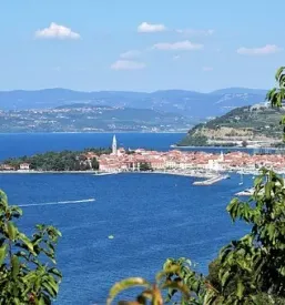 Cheap studio apartment for rent in portoroz