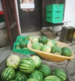 Ekoloska zelenjava savinjska