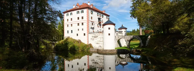 Kulturni dogodki Loška dolina, Slovenija