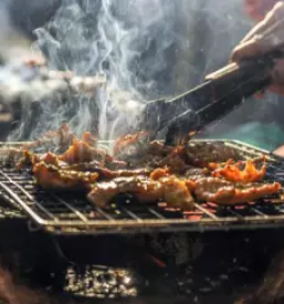 Piknik prostor z zivalmi planina nad horjulom