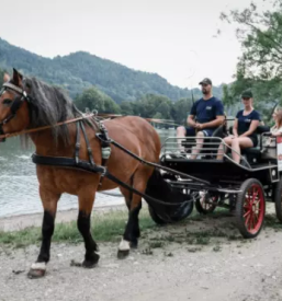 Prevozi s kočijo Maribor, Štajerska