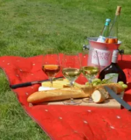 Ugoden piknik prostor planina nad horjulom