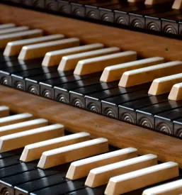 Production of quality organs in slovenia
