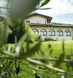 Kmečki turizem Kojsko Goriška Brda