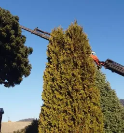 Urejanje okolice in suhomontažna dela Ravne na Koroškem