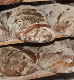 Domaci kruh iz krusne peci gorenjska