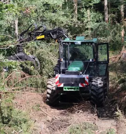 Secnja in spravilo lesa gorenjska