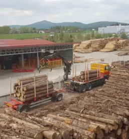 Prodaja rezanega lesa kocevje