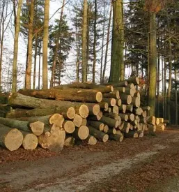 Ugodno spravilo lesa gorenjska