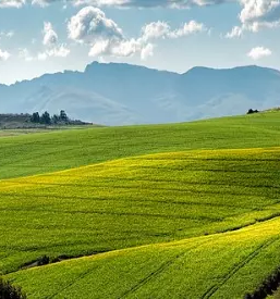 Kmetijske storitve osrednja slovenija