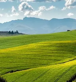 Kmetijske storitve osrednja slovenija