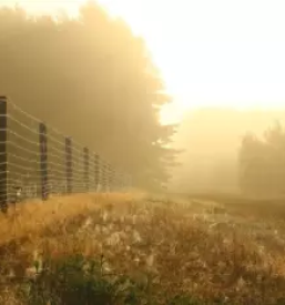 Kvalitetne panelne ograje slovenija