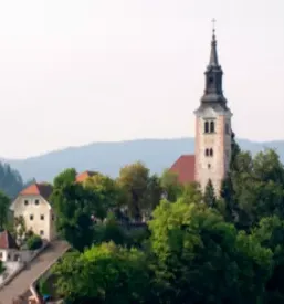 Organizacija kongresov Ptuj