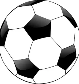Nogometna šola Ankaran