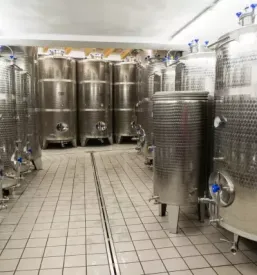 Stainless steel beer containers