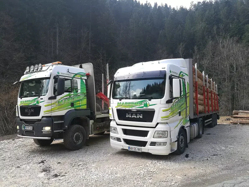 Ugoden transport lesa po EU