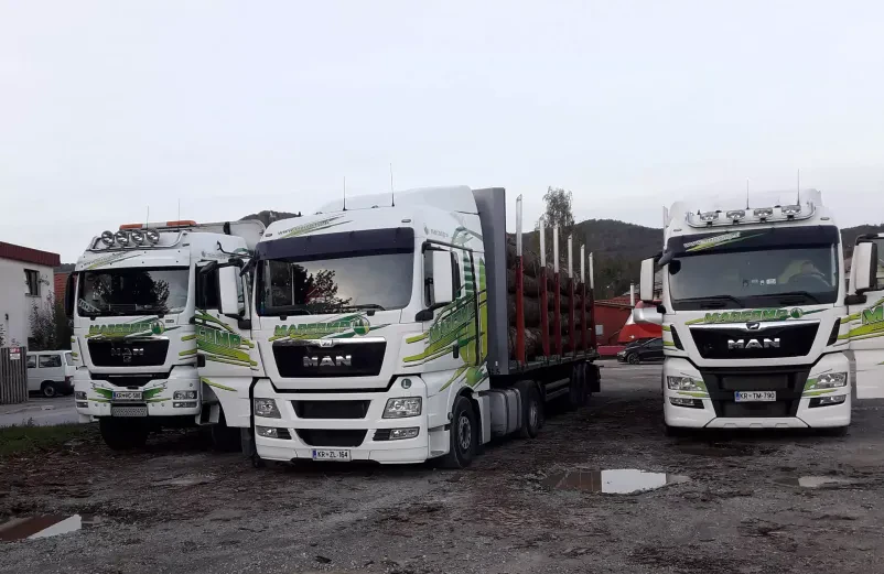 Za transport lesa v EU ne boste našli boljšega ponudnika