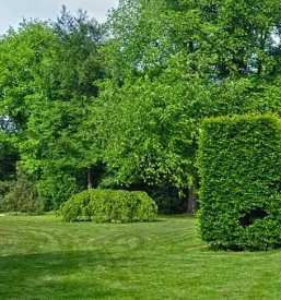 Urejanje okolice in vzdrzevanje zelenih povrsin pomurje