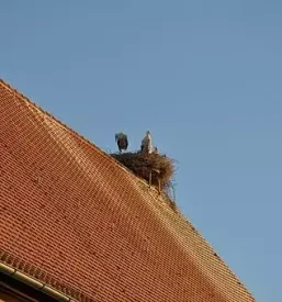 Kvalitetna krovska dela podravska in pomurska