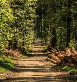 Spravilo hlodovine Zasavje