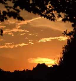 Ugodno fotografiranje savinjska