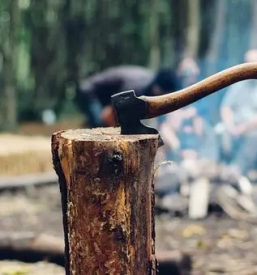 Ugodno spravilo lesa ivancna gorica kocevje