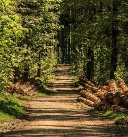 Ugodno spravilo lesa ivancna gorica kocevje