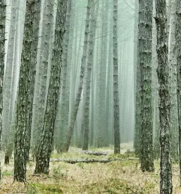 Ugodno spravilo lesa ivancna gorica kocevje