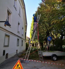 Ugodno urejanje okolice osrednja slovenija