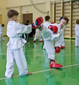 Taekwondo savinjska
