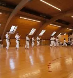 Tradicionalni karate za otroke s posebnimi potrebami slovenija