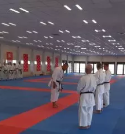 Tradicionalni karate za otroke s posebnimi potrebami slovenija