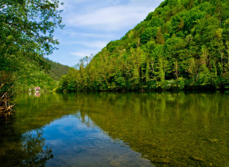 Dober rafting na Kolpi