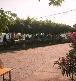 Dobra restavracija v piranu