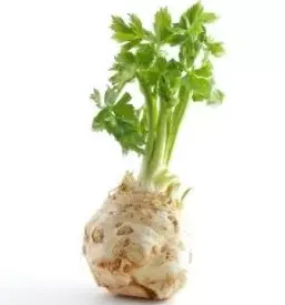 Ekoloska zelenjava primorska