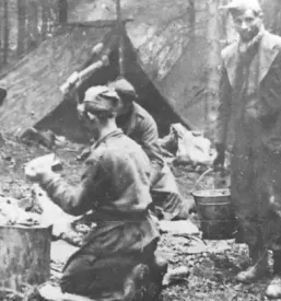 Združenje borcev narodnoosvobodilnega boja Slovenije