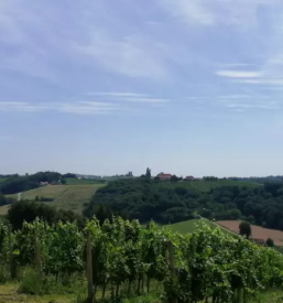 Apartmaji in strezba pijac ivanjkovci pomurje