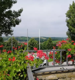 Apartmaji in strezba pijac ivanjkovci pomurje