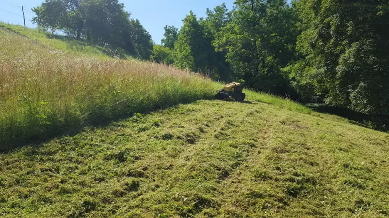 Mulčenje zaraščenih površin in košnja trave Savinjska, Podravska 