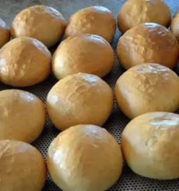 Sveže žemljice Murska Sobota