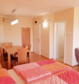 Udobni apartmaji radenci