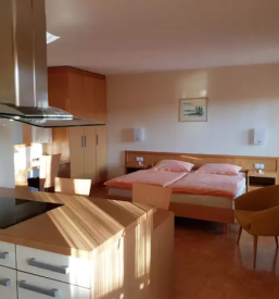 Udobni apartmaji radenci