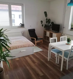 Ugoden apartma trzic