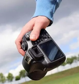 Ugodno fotografiranj ljudi in zivali obala