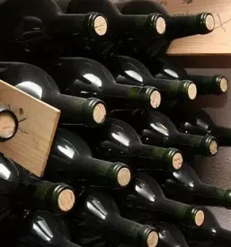 Bela vina Kras