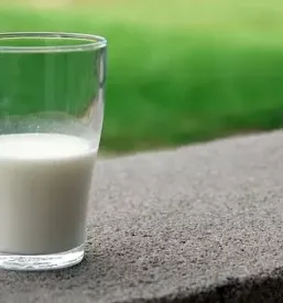Odkup mleka za mlekarne Gorenjska